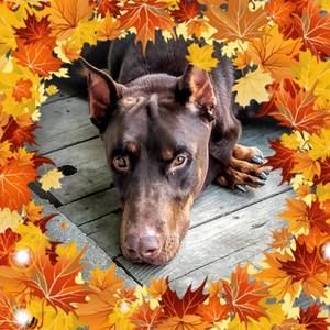 Meet your Posher, Stacie